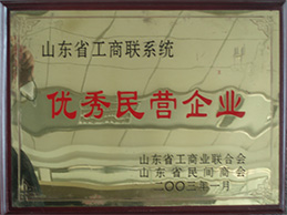 山(shān)東民(mín)營(ying)優(you)秀齊(qi)業